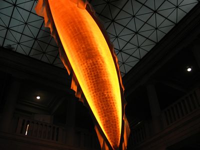 04_halle_scheibe_06