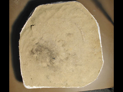 coswig14_block_01