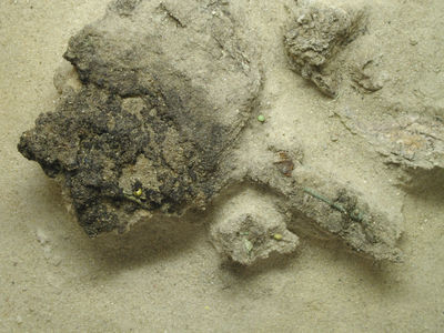 coswig14_block_04