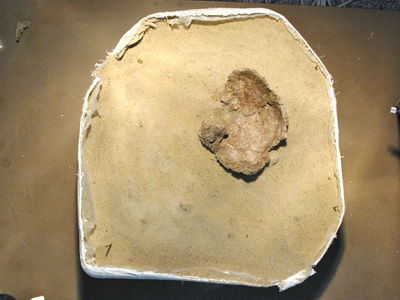 coswig14_block_06