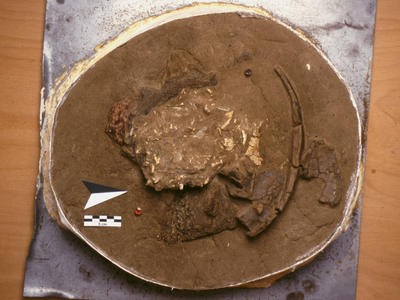 obj_sem5_05