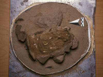 obj_sem5_09