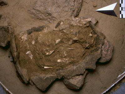 obj_sem5_10