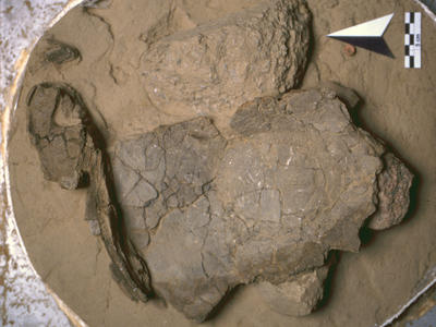 obj_sem5_12