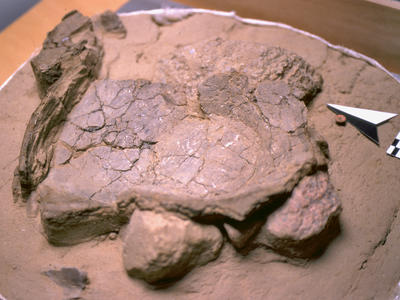 obj_sem5_13