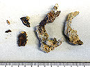 eberbach-01_01_tmb